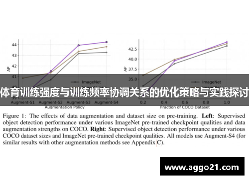 体育训练强度与训练频率协调关系的优化策略与实践探讨